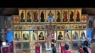 Sunday November 17 2024 930 AM  Divine Liturgy [upl. by Alathia]