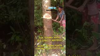 TDK TERIMA HASIL TES CPNS 2024 IBUNYA TEBANG POHON SAMBIL PAKE TOGARNC TV [upl. by Whitten648]