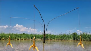 2 Hari Bertahan Hidup Di Hutan Kalimantan Pasang Pancing 3 Mata Dapet Ikan Banyak Banget [upl. by Kcired]