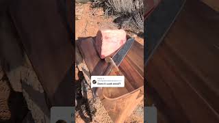 Solar oven cooking hacks  Cooking meat with solar energy  GoSun [upl. by Nivart]