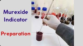 Preparation of Murexide indicator Ammonium purpurate indicator [upl. by Gayel]