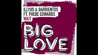 Illyus amp Barrientos · Phebe Edwards  Wait Extended Mix housemusic [upl. by Arvid]