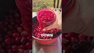 Craft Perfect Cranberry Sauce Canning HowTo [upl. by Netsirt]