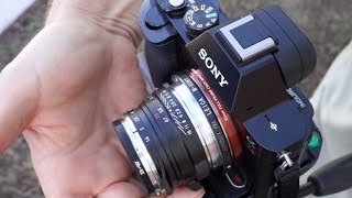 A7r Voigtlander Lens Manual Focus Demo [upl. by Rosina]