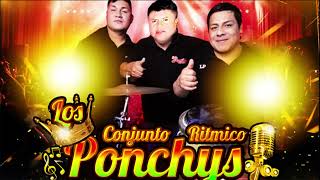 LOS PONCHYS  SEPARARNOS  el rey vico [upl. by Gillan]