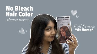 Coloring My Hair Brown Without Bleach  Paradyes Glossy Hair Tint  Hazel Brown  Process amp Review [upl. by Ynnot]