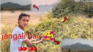 myvlog jangali bair 🍒👌 [upl. by Burkitt]