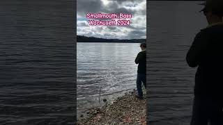 Veteran’s Day Smallmouth action at Wachusett Reservoir [upl. by Odnarb687]