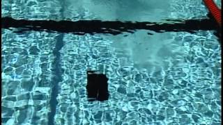 Officiating Swimming Chapter 3  Backstroke [upl. by Triny907]