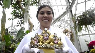 Daffodil Festival Queen Marin Sasaki of Orting HS beams with pride [upl. by Anesusa]