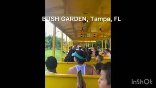 BUSH GARDEN TAMPA FL [upl. by Chatav604]