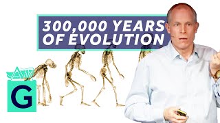 A 300000Year History of Human Evolution  Robin May [upl. by Venus]