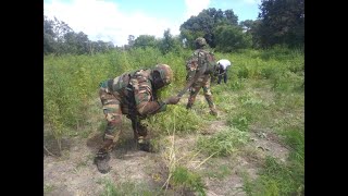 DJIBIDIONE Les Révélations des Propriétaires des Champs de YAMBA Détruits par lArmée Partie 1 [upl. by Ahsilrak]