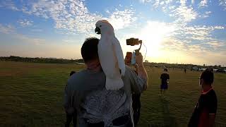 Mit Hopfendolde zur Vogelflugshow in Khon Kaen 🦜 Thailand [upl. by Iroc]