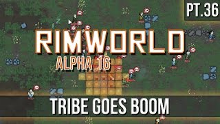 RIMWORLD  Tribe Goes Boom Pt36 A16 [upl. by Aihsia725]