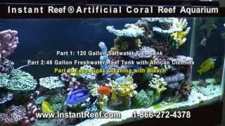 Artificial Coral Reef Aquarium Setup amp Maintain Reef Tank for Saltwater Marine Fish Freshwater Fish [upl. by Gnaoh]