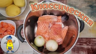 Домашняя уха из красной рыбы  классический рецепт Как сварить уху из рыбы вкусно [upl. by Ferguson435]