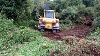 Komatsu D65PX clearing land [upl. by Publius]