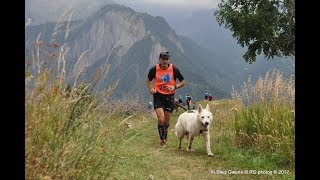 TDM 2017  étape 4 canicross 84km avec Sam et Ivy le BBS  Villard Reculas quotForêt de lOursquot [upl. by Rafaelia]