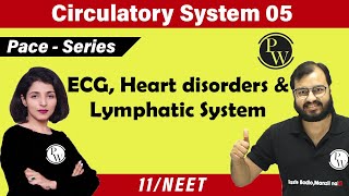 Circulatory System 05  ECG  Heart Disorders  Lymphatic System  Class 11  NEET  PACE SERIES [upl. by Garris488]