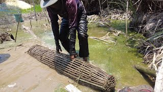 PANEN IKAN DI LOBAK KEKERINGAN SERTA BERMALAM DI HUTAN SAAT MUSIM KEMARAU [upl. by Kimmy65]