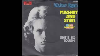 Walter Egan  Magnet And Steel [upl. by Dav]