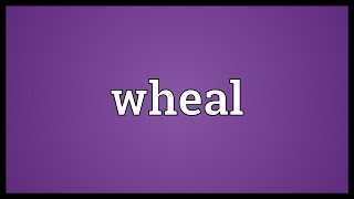 Wheal Meaning [upl. by Rickie]