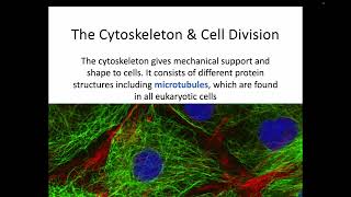 AH Biology 15a  The Cytoskeleton amp Cell Division [upl. by Iak]