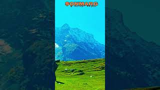 yoyo yoyohoneysinghnewsong shortfeed shortsviral kashmirattractions shortsyoutube shorts [upl. by Anivlek]