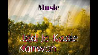 Udd ja kaale Kanwan SlowedReverb Hindi song IMshoaib84 [upl. by Luanne327]