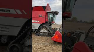 MASSEY FERGUSON 9520 Combine bigtractorpower masseyferguson agco combine [upl. by Sesiom]