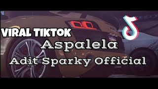 DJ ASPALELA VIRAL TIKTOK❗❗Adit Sparky Official Nwrmxx FULLBASS [upl. by Ailama]