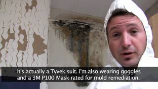 Killing Toxic Black Mold  How to Remove Mold Safely [upl. by Persis]