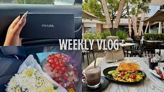 MOST REALISTIC WEEK IN THE LIFE vlog last day of vlogtober [upl. by Aneroc65]