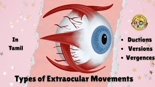 Types of Extra ocular Movements Eyes optometry studywithjeslin  Ductions  Versions  Vergences [upl. by Orna]