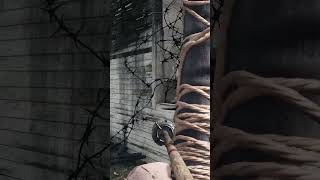 Bollwerk ist ein gutes Perk huntshowdown crytek gaming funny games viralvideo [upl. by Pantia]