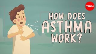 How does asthma work  Christopher E Gaw [upl. by Assirehs]