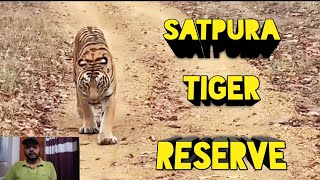 SATPURA NATIONAL PARK  Satpura Tiger Reserve  New UNESCO World Heritage Site Satpura National Park [upl. by Aihsenet]