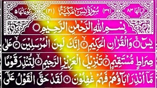 Surah Yasin full  Yaseen Sharif Beautiful Voice  Quran Recitation  Surah Rahman Ayatul Kursi [upl. by Ahsuatal514]