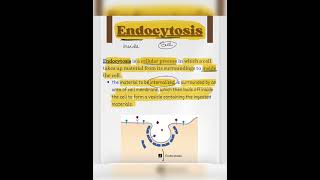 Let’s learn about Endocytosis CSIRNET NET2024 CSIR2024 Endocytosis LifeScience CellBiology [upl. by Eniamerej]