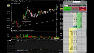 536 NVDA WMT Day Trading Swing Trading Shorting daytrading SHORTS [upl. by Callum]