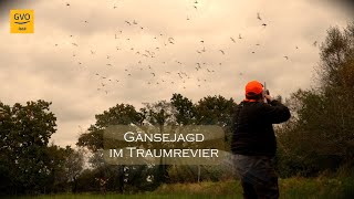 Gänsejagd im Traumrevier Aurich [upl. by Ronnoc26]