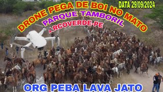 DRONEPega De Boi PARQUE TAMBORIL ARCOVERDEPE ORG PEBA LAVA JATO E FAMÍLIA 29092024 [upl. by Stanfill]