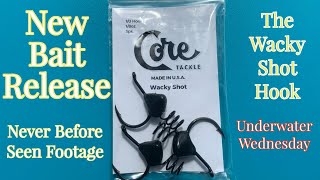 New Bait Release Core Tackle Wacky Shot [upl. by Utta844]