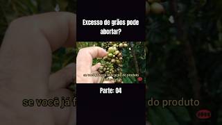 Excesso de grãos pode cair no chão cafeconiloneagro youtubeshorts youtube shorts [upl. by Haila57]