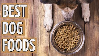 ⭐️ Best Dog Food TOP 10 Dog Foods 2019 REVIEWS ⭐️ [upl. by Attena]