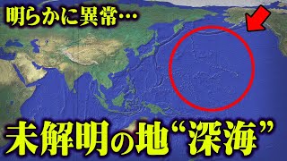 解明されていない深海の謎。海底に存在する巨大生物の存在がヤバすぎる【 都市伝説 深海 巨大生物 】 [upl. by Rehpretsirhc795]