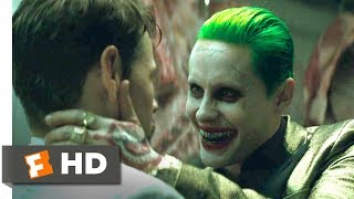 Suicide Squad 2016  A Visit From The Joker Scene 28  Movieclips [upl. by Trilby]