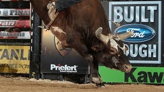 TOP BULL SCORE Bushwacker post a bull score of 4650 points PBR [upl. by Atter87]