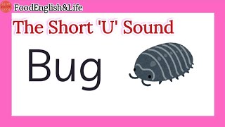 The Short U Sound Words In English  The Short U Phonics Words  Short U Vowel Words [upl. by Derr304]